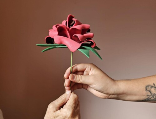 Foto Ganadora Concurso de Fotografía AFACAYLE 2024 – “La Experiencia de Ser Voluntari@ Alzheimer”