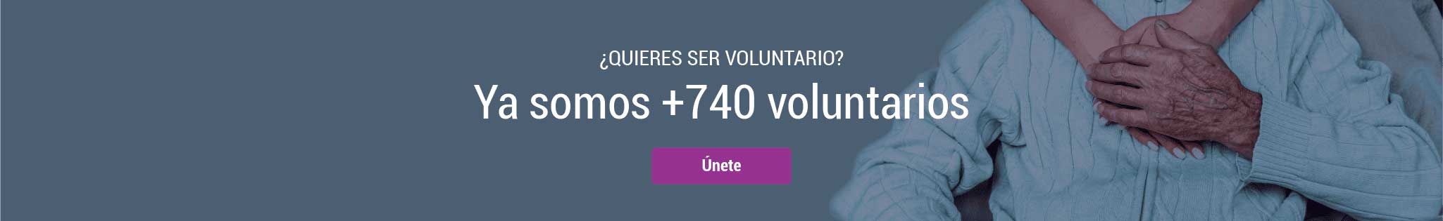 banner voluntarios
